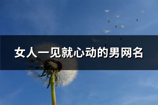 女人一見(jiàn)就心動(dòng)的男網(wǎng)名(共203個(gè))