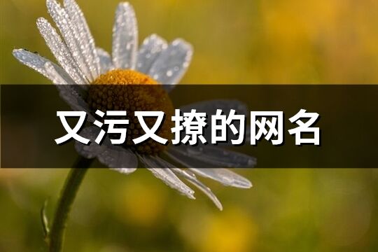 又污又撩的網(wǎng)名(共216個(gè))