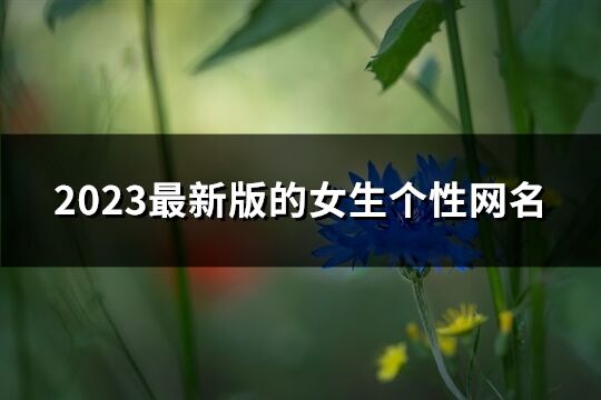 2023最新版的女生個性網名(優選1324個)