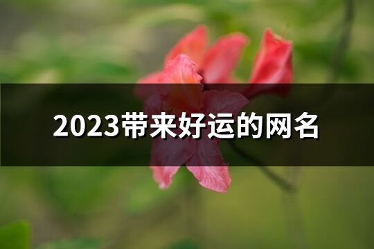 2023帶來好運的網名(精選1254個)