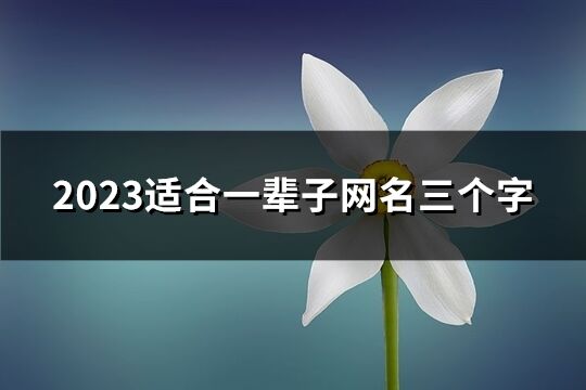 2023適合一輩子網名三個字(精選910個)