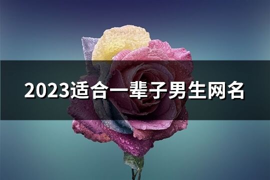 2023適合一輩子男生網名(共994個)