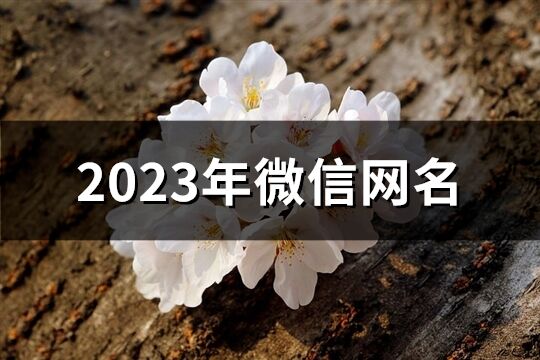 2023年微信網名(1227個)