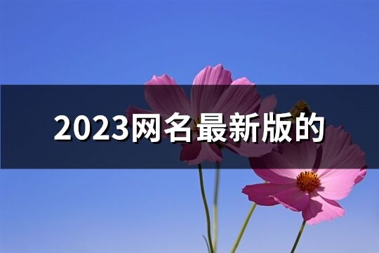 2023網名最新版的(1329個)
