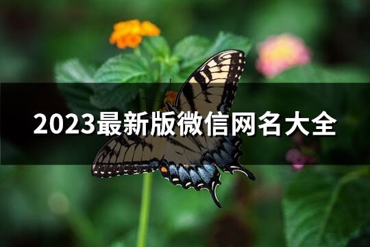 2023最新版微信網名大全(共1269個)