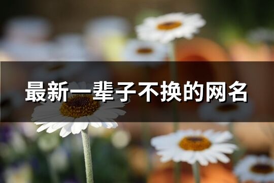 最新一輩子不換的網名(587個)