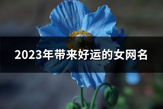 2023年帶來好運的女網名(832個)