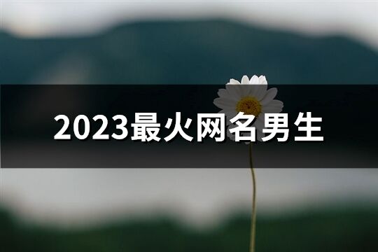 2023最火網名男生(共401個)