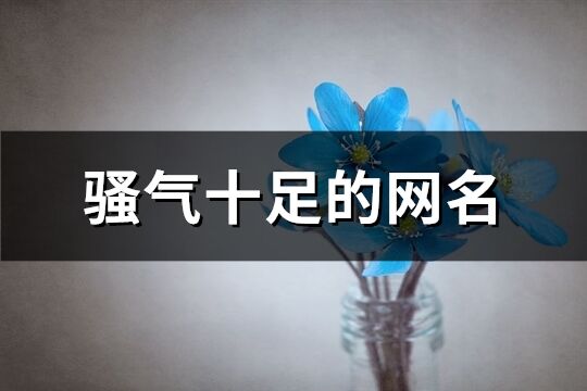 騷氣十足的網名(406個)