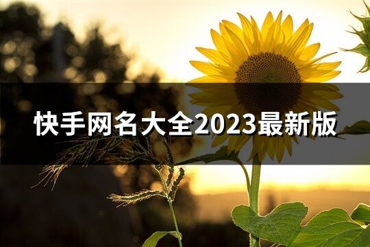 快手網(wǎng)名大全2023最新版(優(yōu)選442個)
