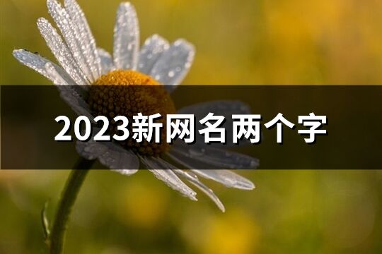 2023新網名兩個字(共1158個)