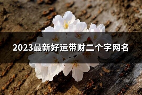 2023最新好運帶財二個字網(wǎng)名(71個)