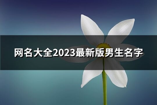 網(wǎng)名大全2023最新版男生名字(共1157個)