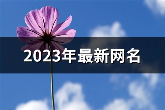 2023年最新網(wǎng)名(精選2024個)