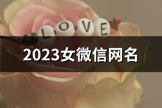 2023女微信網(wǎng)名(1568個(gè))