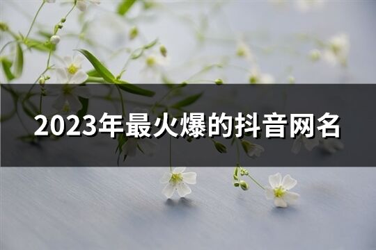2023年最火爆的抖音網名(620個)