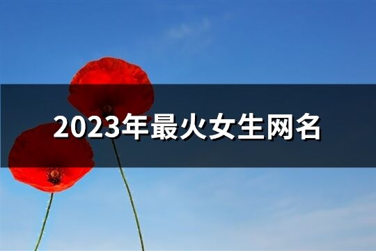 2023年最火女生網(wǎng)名(優(yōu)選554個(gè))