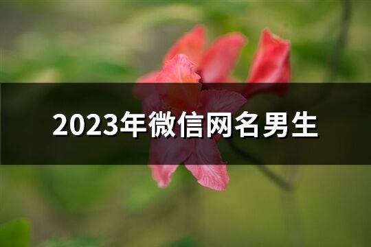 2023年微信網名男生(優選801個)