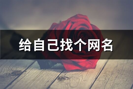 給自己找個網名(共223個)