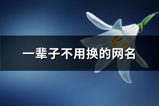 一輩子不用換的網名(共332個)