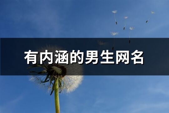 有內涵的男生網名(精選221個)
