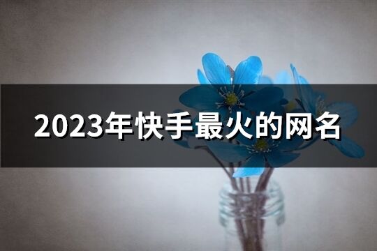 2023年快手最火的網名(共437個)