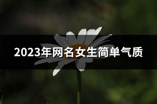 2023年網名女生簡單氣質(優選432個)