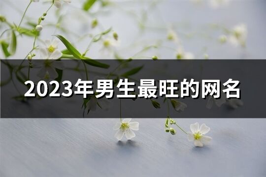 2023年男生最旺的網名(245個)