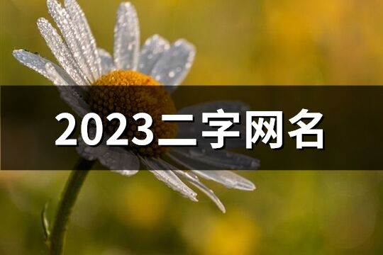 2023二字網名(1415個)