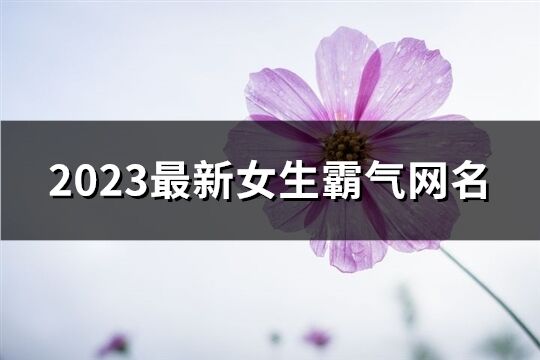 2023最新女生霸氣網名(共723個)
