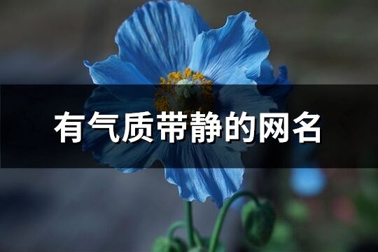 有氣質帶靜的網名(優選185個)