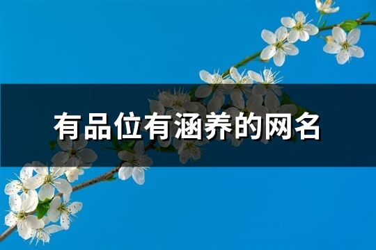 有品位有涵養(yǎng)的網(wǎng)名(精選898個(gè))