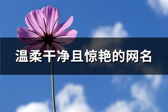 溫柔干凈且驚艷的網(wǎng)名(共157個(gè))