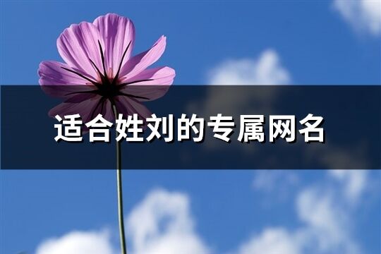 適合姓劉的專屬網名(共178個)