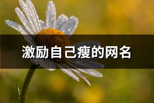 激勵自己瘦的網(wǎng)名(優(yōu)選74個)