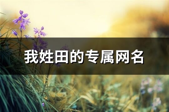 我姓田的專屬網(wǎng)名(共109個)