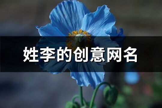 姓李的創意網名(130個)