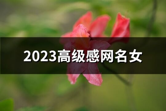 2023高級感網名女(281個)