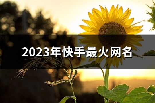 2023年快手最火網名(優選613個)