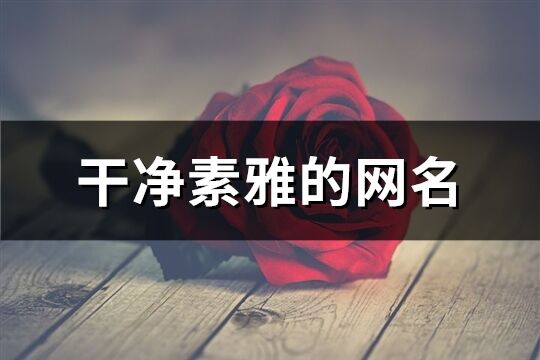 干凈素雅的網(wǎng)名(精選428個)