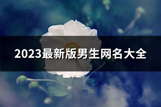 2023最新版男生網名大全(優選770個)