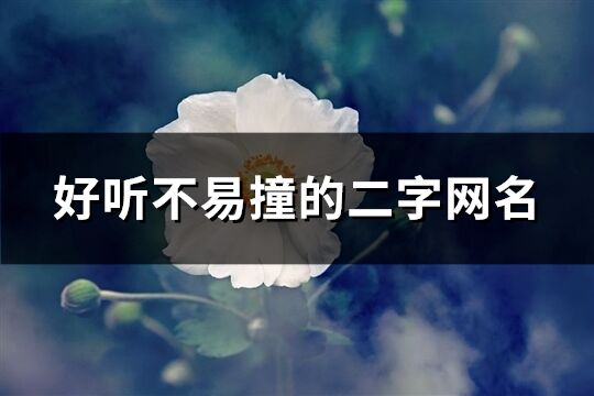 好聽不易撞的二字網(wǎng)名(精選939個(gè))