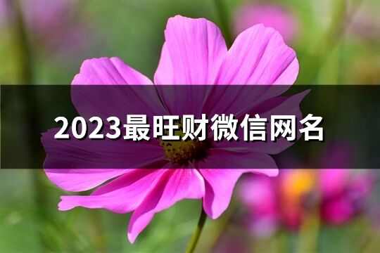2023最旺財微信網名(共912個)