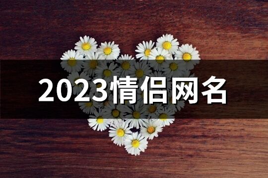 2023情侶網名(優選532個)