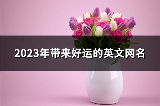 2023年帶來好運的英文網名(精選196個)
