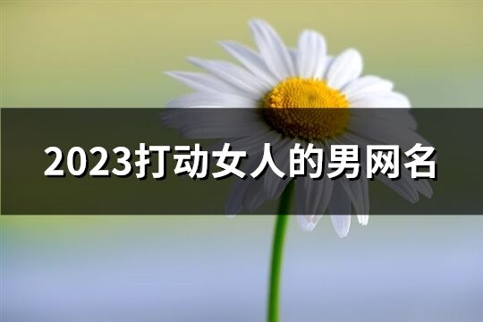 2023打動女人的男網名(共260個)