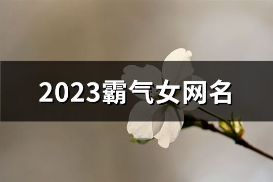 2023霸氣女網名(優選885個)