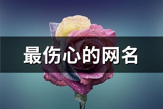 最傷心的網名(471個)