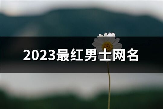 2023最紅男士網名(優選522個)