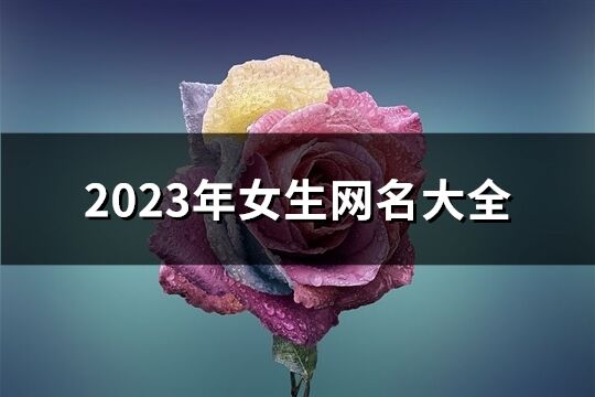 2023年女生網名大全(1588個)